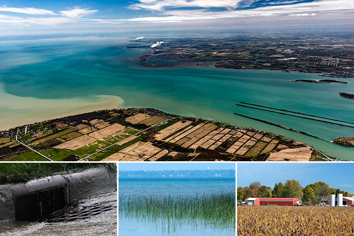 Top: Zach Haslick; Lower: Robert Lawton (left), Michigan Sea Grant (center and right) Detroit River Watershed Assessments